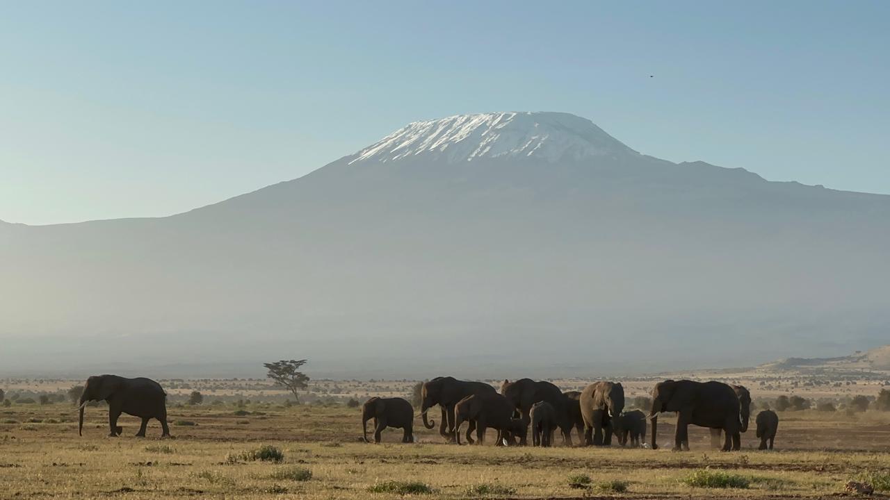 How to Organize Your Office for Maximum Productivity?